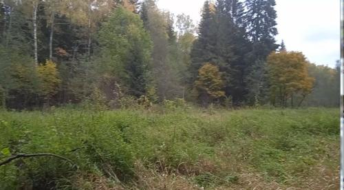 Частичка природы, фото В.Кузьмин, сентябрь, 2021