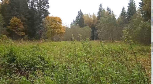 Частичка природы, фото В.Кузьмин, сентябрь, 2021