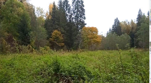 Частичка природы, фото В.Кузьмин, сентябрь, 2021