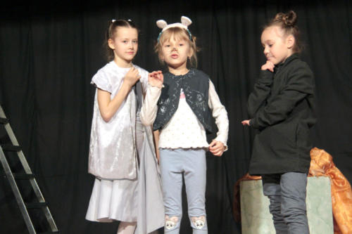 На сцене образцового детского театра-студии «Сказка» прошел спектакль «Все мыши любят сыр» по произведению Дюлы Урбан (фото и видео В. Кузьмин, май 2021 года)